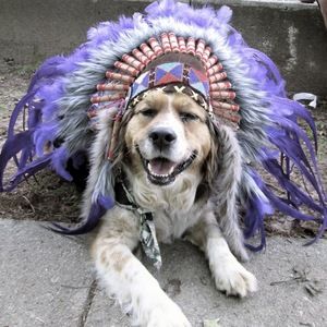 Meet your Posher, Hilary